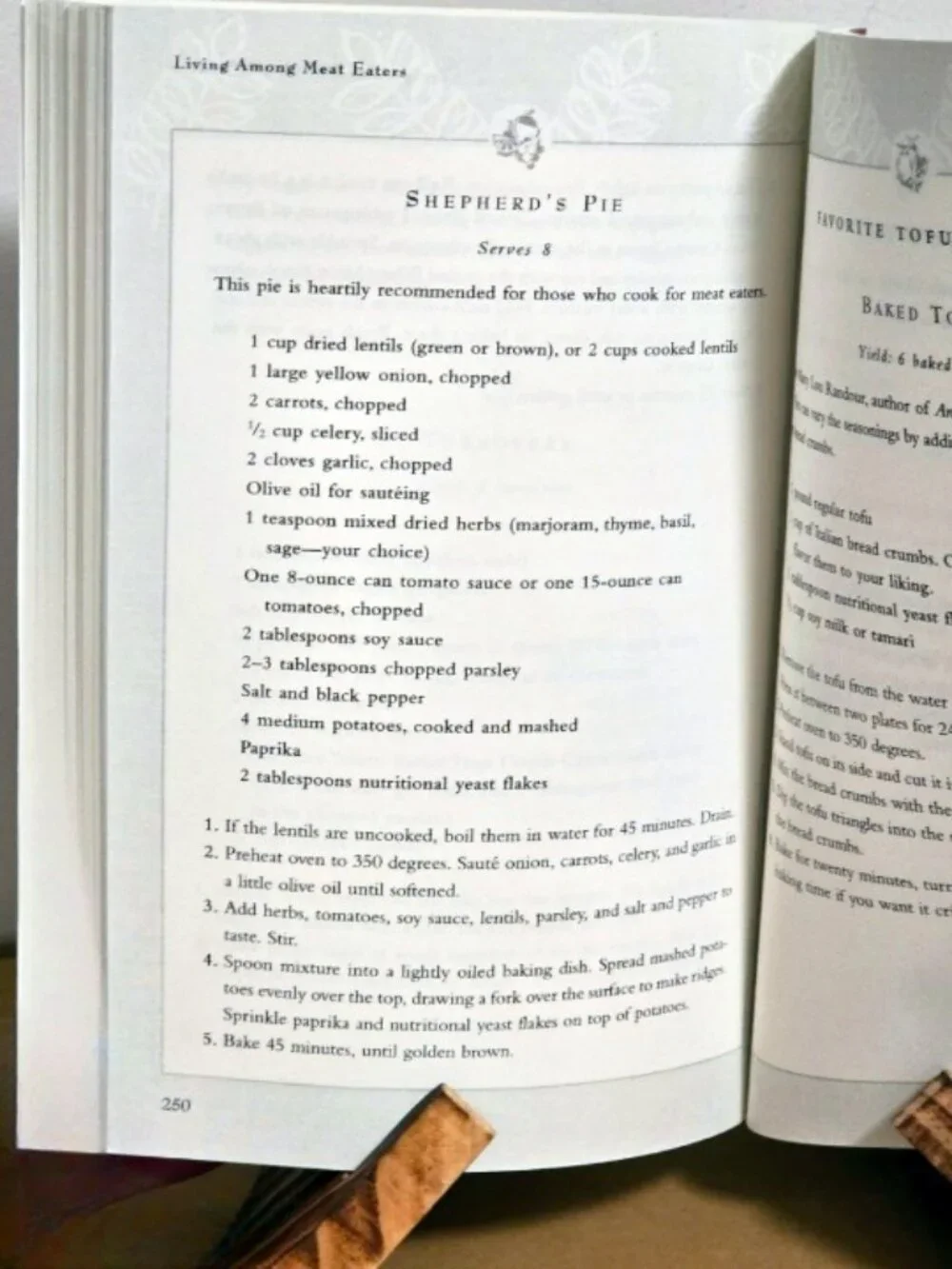 Vegan & Vegetarian Cookbook Lot 3 | Viva Vegan! + Student's Vegetarian Cookbook+
